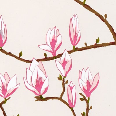 JOB-magnolia_small