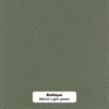 Baltique-88042-Light-green