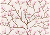 JOB-magnolia